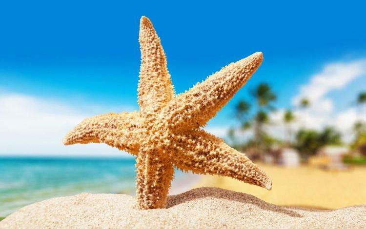 Sea Star Apartments Odessa Ngoại thất bức ảnh